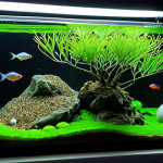 **

A close-up, underwater shot of a meticulously prepared Neon Tetra breeding tank. The pH is between 6.0 and 6.5. The soft lighting filters through lush Java Moss, illuminating tiny, translucent Neon Tetra eggs scattered among the fine gravel and glass marbles on the bottom. A delicate net separates the eggs from adult Neon Tetras. The water is crystal clear, showing meticulous water quality control. Focus on detail, showcasing the fragile ecosystem and the promise of new life. A pH testing kit is in focus near the side of the tank.

**