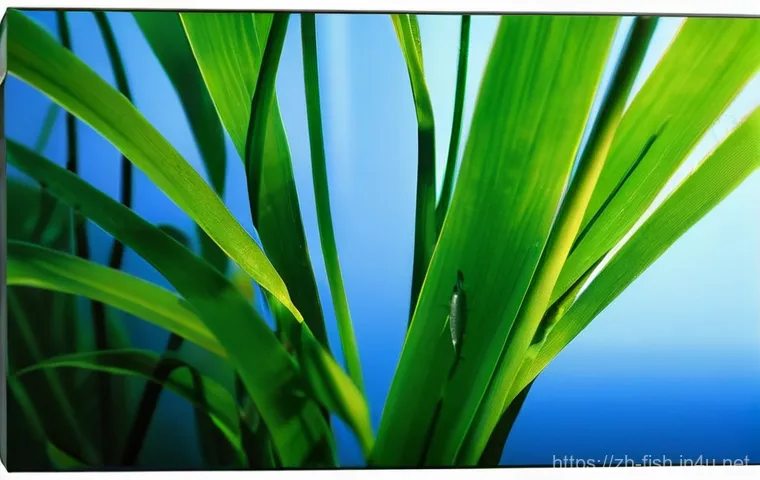 수초와 조명 궁합 - **"A close-up, eye-level shot of a high-tech planted aquarium, emphasizing the benefits of full-spec...